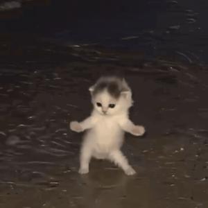 Финик